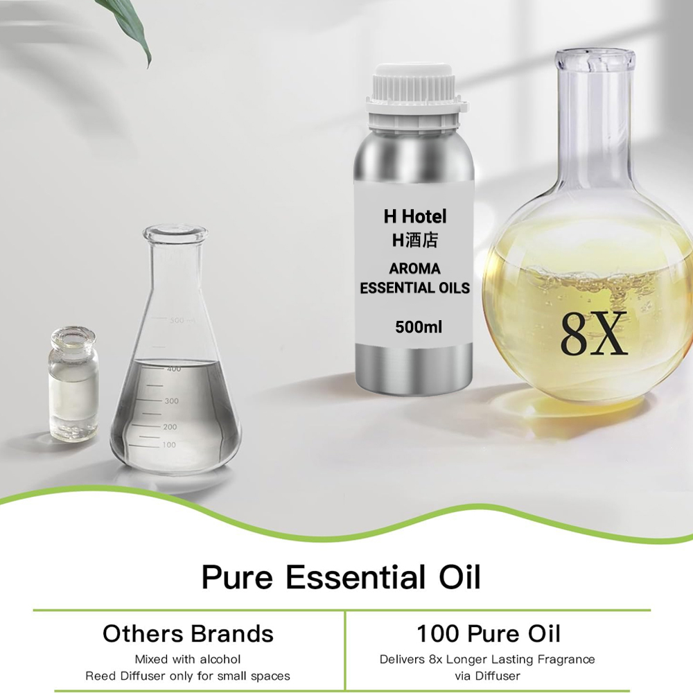 Fragranza per Diffusore 500ml  - Home Fragrance Oud recensione e prezzo