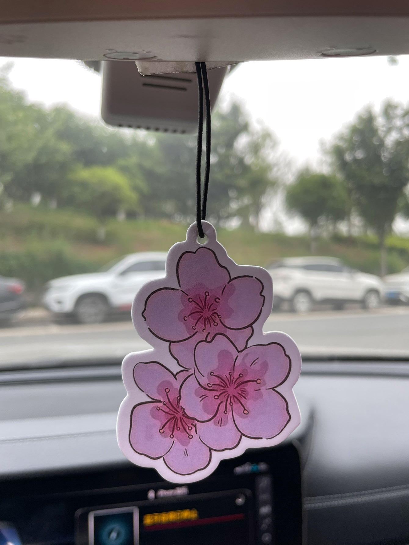 Profumo per auto a neutro prof - Home Fragrance Logo recensione e prezzo